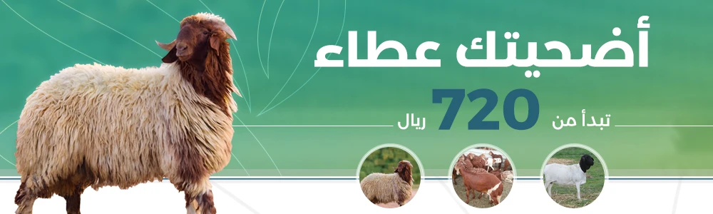أضاحي 